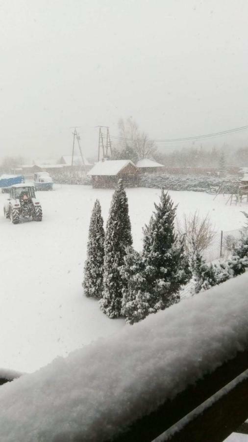 Ogrodowy Appartamento