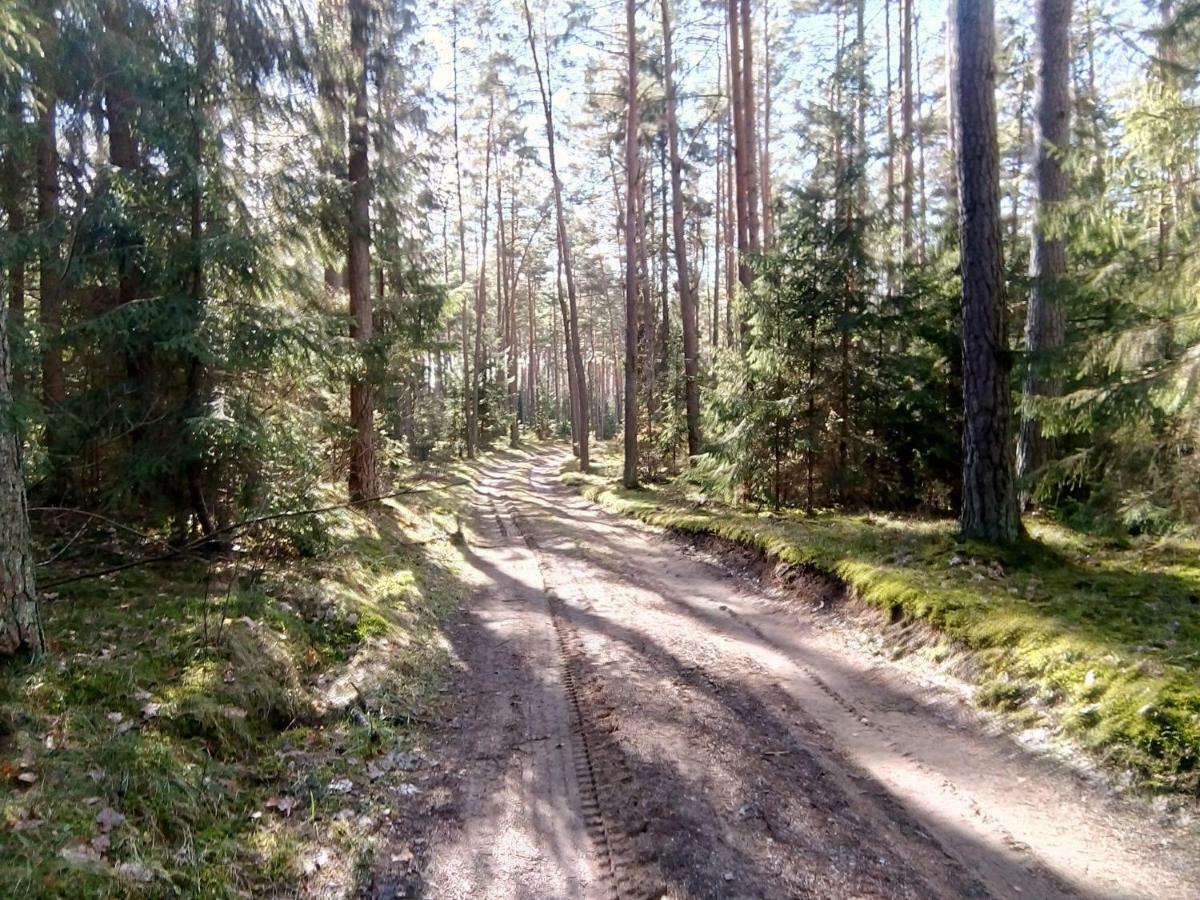 Ogrodowy