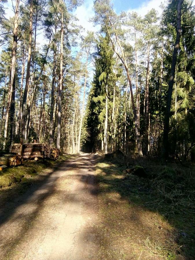 Ogrodowy